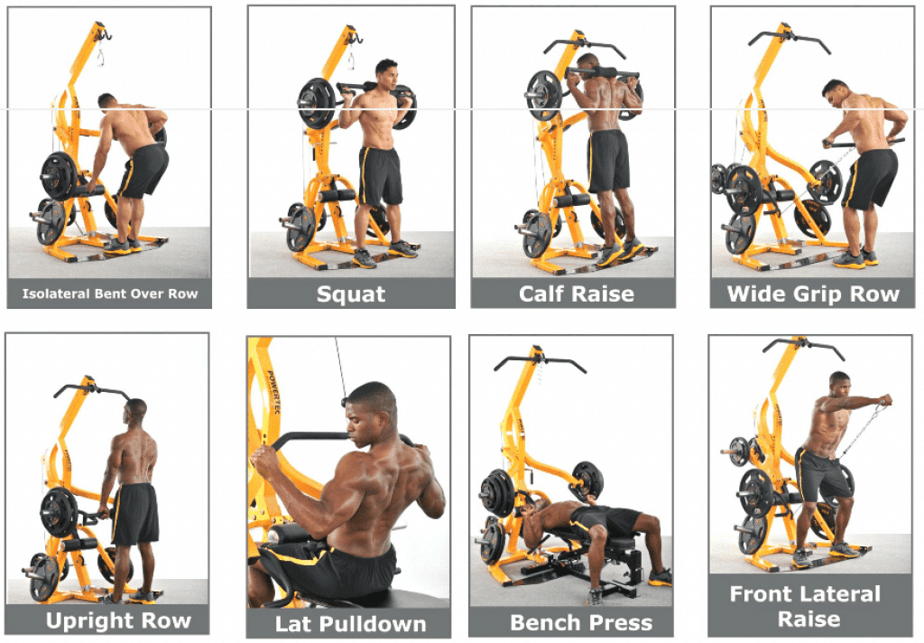 Powertec workbench 2025 exercise chart